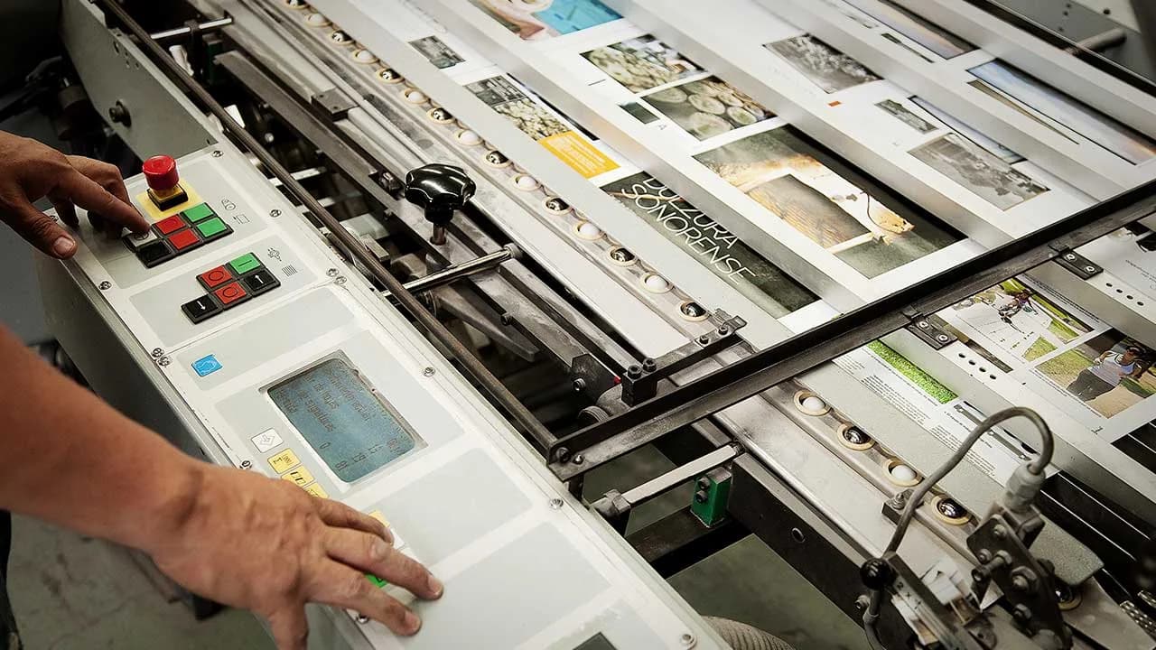Commercial printing press processing printed sheets